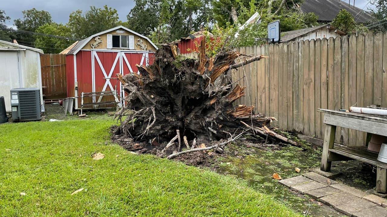 Esperan que la compañía de luz arregle los cables caídos, han organizado un grupo para limpiar el jardín y arreglar la barda.