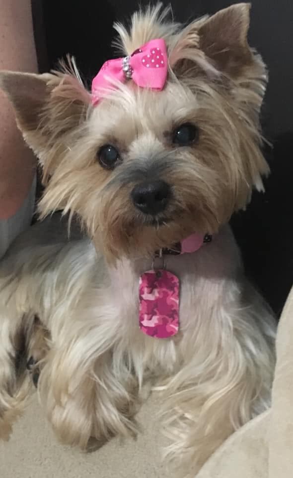 Luna también se une a la celebración.