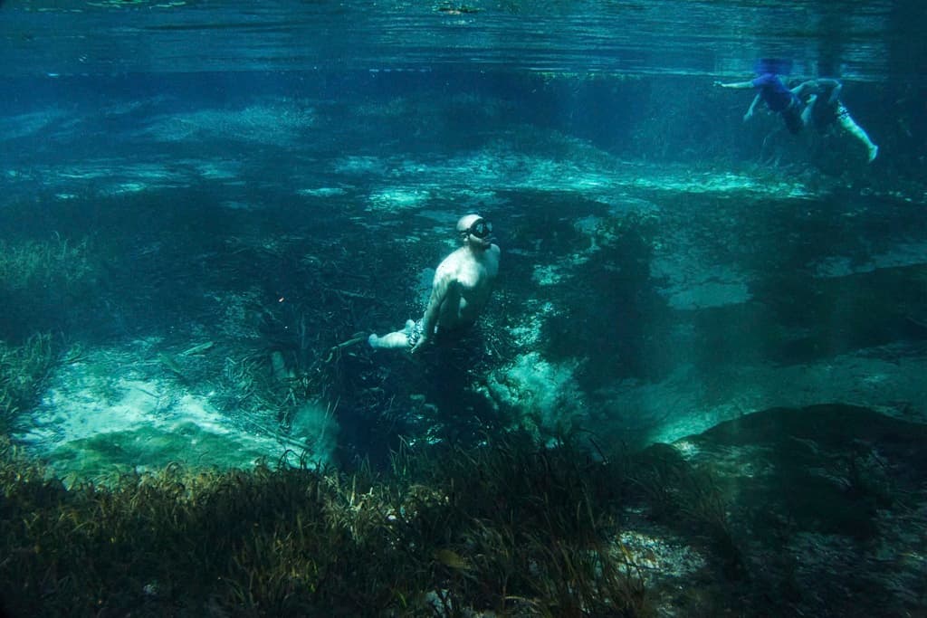 Cuatro grandes manantiales ya muestran signos de salinidad por el aumento del nivel del mar y la disminución de lluvias, según el distrito de manejo de agua del suroeste de Florida, lo que amenaza su biodiversidad.