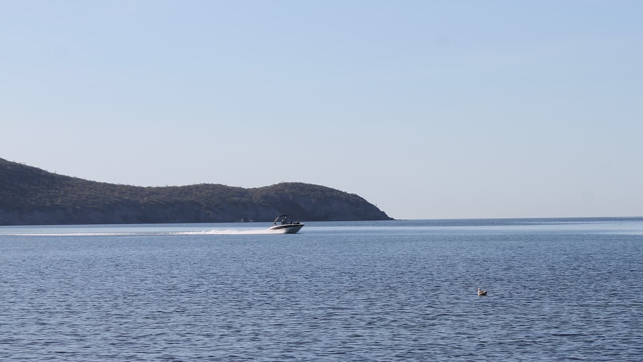 En San Carlos se pueden realizar todas las actividades acuáticas, bucear, salir de pesca, observar delfines o simplemente dar un paseo por la costa en uno de los barcos donde ofrecen comida y diversión.