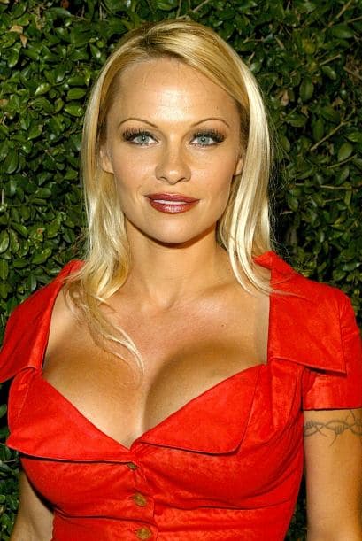 Anderson ha tenido relaciones y aventuras amorosas con varios hombres famosos entre ellos con su coprotagonista de "Baywatch" y con Bret Michaels de la banda Poison.