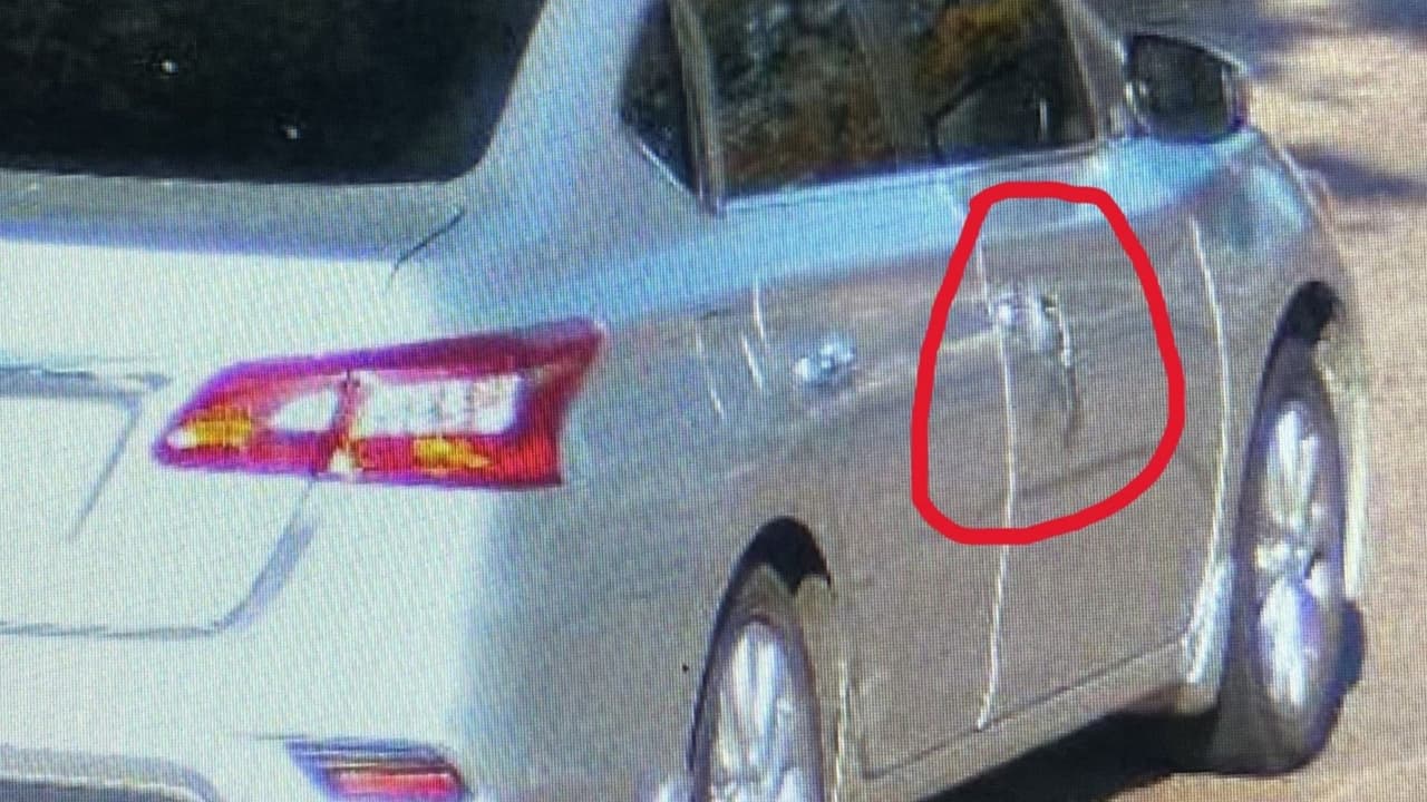 Policía de Houston revela fotografía de un vehículo que pudo haber estado involucrado en un tiroteo