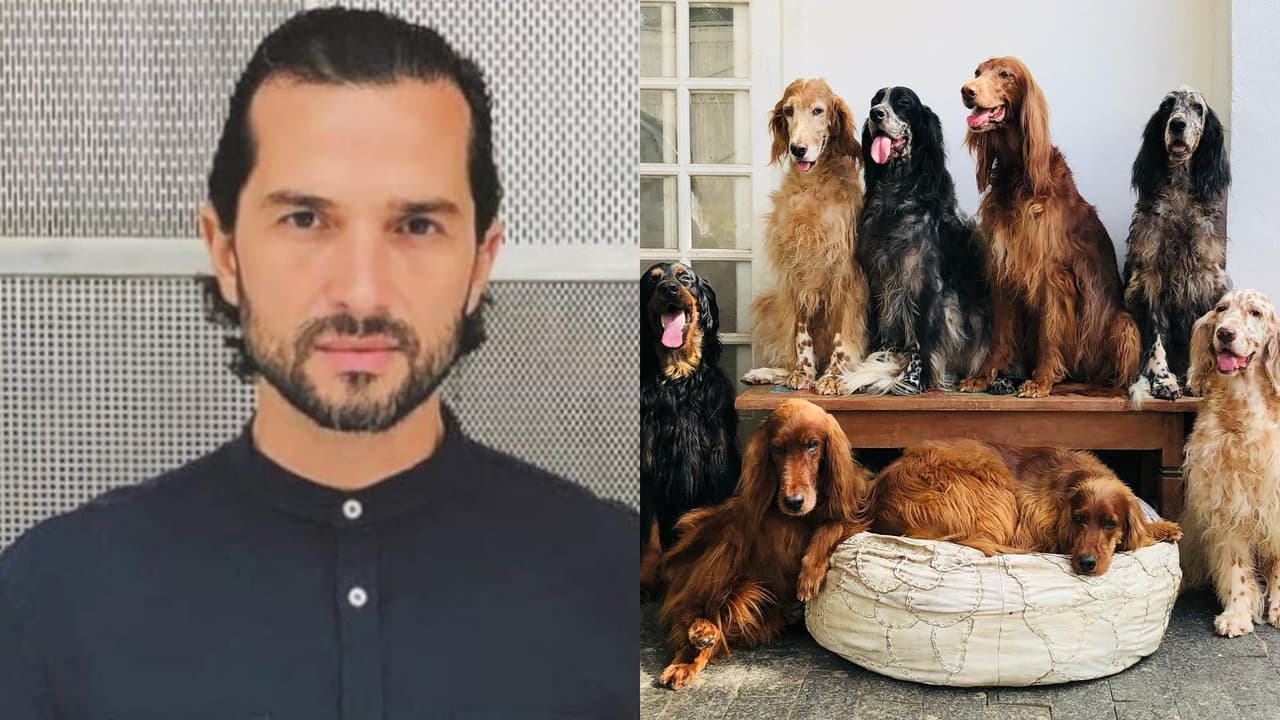 Mascotas clave en localización del actor hallado muerto y enterrado en un baúl así lo 'despiden'