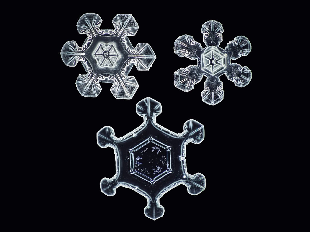'No hay dos iguales', el nombre de esta imagen. En promedio, Myhrvold fotografía cada copo de nieve más de 100 veces, o tantas veces como pueda antes de que se derrita. Usando un software de computadora especializado, el artista combina múltiples fotografías de un solo copo para crear la imagen final.