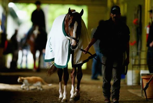 Chromie, como cariñosamente le ha bautizado la prensa y el público, se ha convertido en una celebridad, acaparando portadas de importantes revistas y diarios y espacios estelares en la televisión.