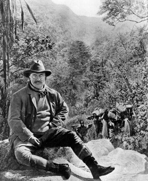 Otro que según el análisis de Duke ha podido sufrir de desorden bipolar con cambios de humor extremos fue 
<b>Theodore Roosevelt</b>. Para el psicólogo Guy Winch, el que Roosevelt haya emprendido una expedición de dos años hacia el Amazonas (durante la cual tres personas fallecieron) sugiere un
<b> patrón maníaco</b>. El escritor Mark Twain aseguró que el político estaba “claramente loco”.