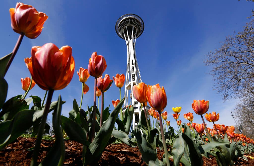 <h2 class="cms-H2-H2">9.- Seattle</h2>
<br>
<br>Seattle está rodeada de agua, montañas y bosques. Es la ciudad más grande del estado de Washington y alberga una gran industria tecnológica, con las sedes centrales de Microsoft y Amazon establecidas en su área metropolitana.