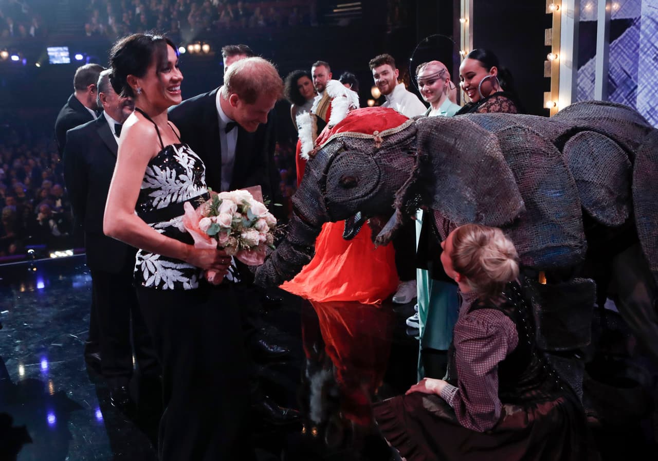 Los vínculos que ella y su marido tienen con esa organización son de tiempo atrás. 
<b><a href="https://www.univision.com/entretenimiento/el-principe-harry-lleva-a-meghan-markle-a-un-safari-y-se-disparan-los-rumores-de-boda" target="_blank">La pareja viajó a Botsuana</a></b> en el año 2017 para ayudar al doctor Mike Chase, miembro de esa institución, en los esfuerzos que se realizan para la conservación de los elefantes. 
<br>