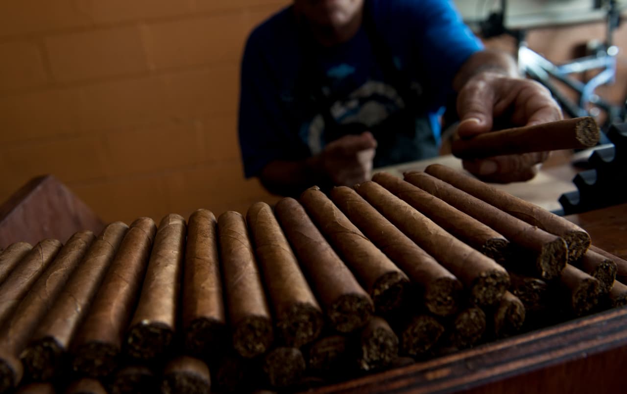 Los productores artesanales de tabaco en Ybor City no solo fabrican puros; también preservan una herencia cultural que conecta a Tampa con Cuba y con figuras históricas como José Martí, quien visitó este barrio en múltiples ocasiones.