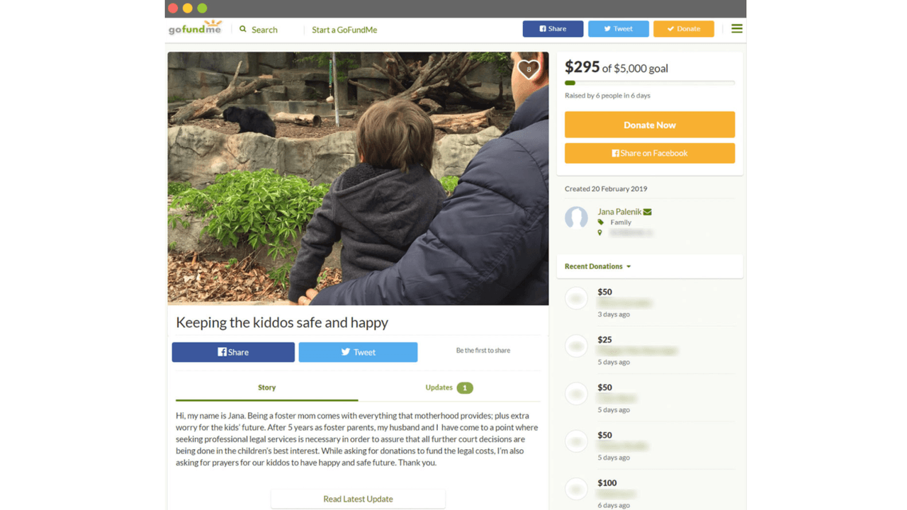 En febrero Jana Palenik, madre de crianza temporal, lanzó una página de GoFundMe para recaudar fondos para costear los gastos legales necesarios para “asegurar que todas las próximas decisiones del juzgado se tomen a conveniencia de los intereses de los niños.” La página ya no existe.