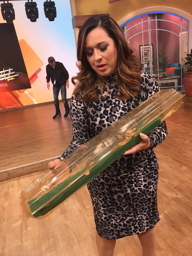 Ella llegó a Despierta América con una flor en la mano, un recuerdo que guarda entre sus tesoros desde entonces.