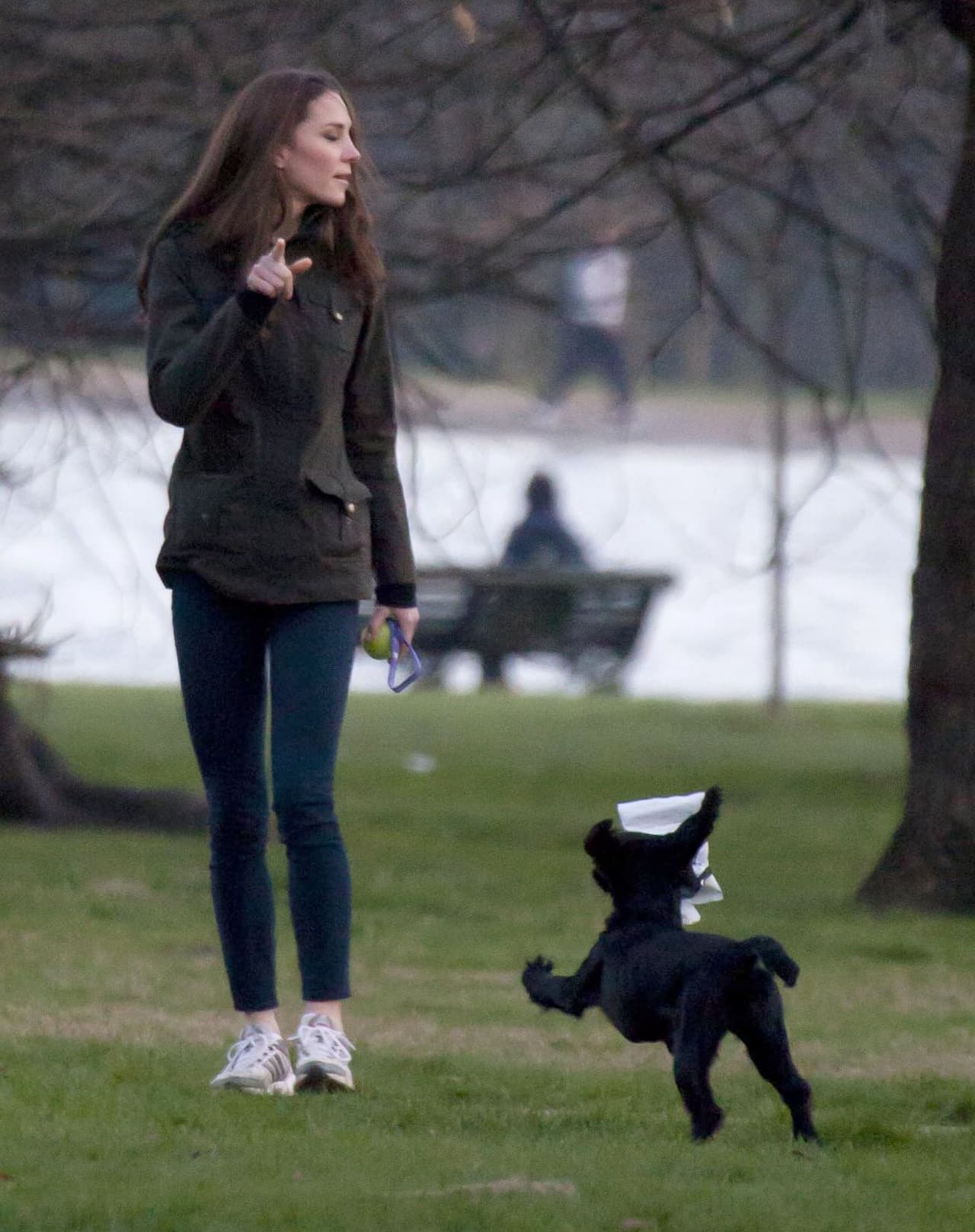 Para el año 2011, el perro pasó a formar parte de la vida de Kate Middleton y el príncipe William, quienes lo adoptaron incluso antes de la llegada de George, su primogénito. 
<br>