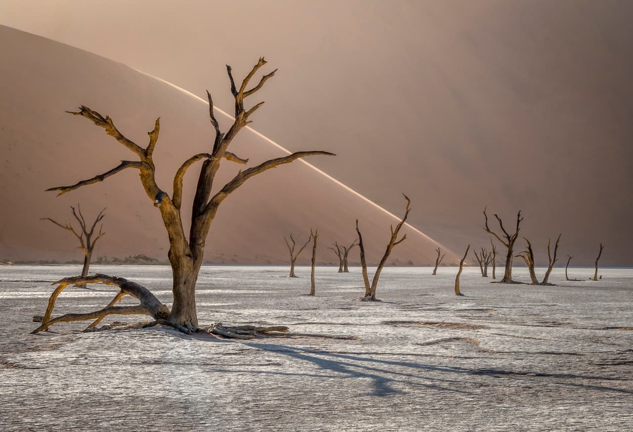 Deadvlei, Parque Namib-Naukluft, Namibia.
<br>
<br>
<br>