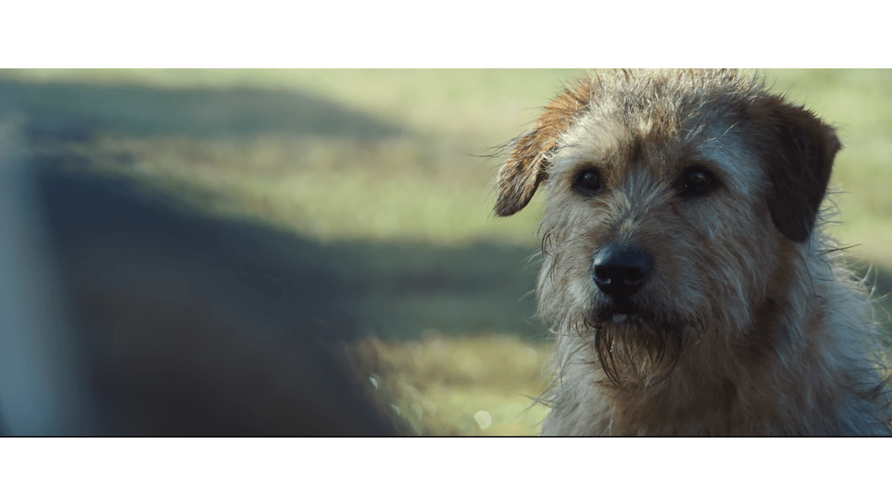 ‘Arthur: una amistad sin límites’