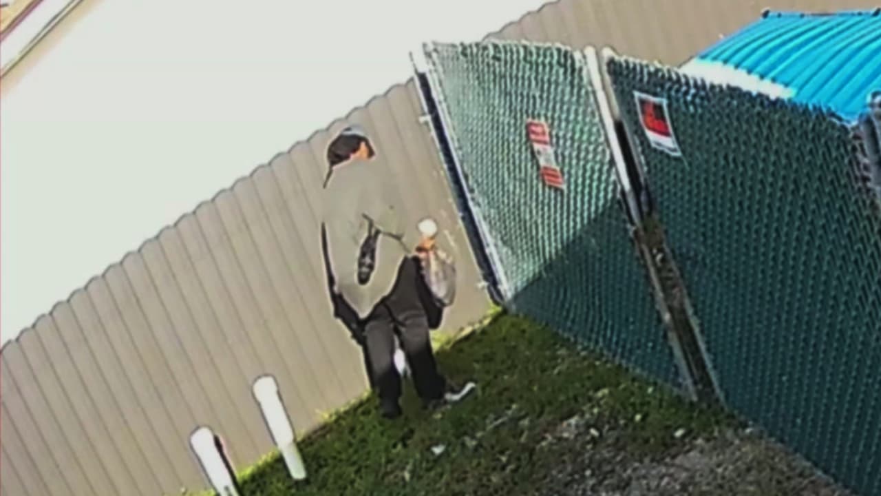 Arrestan al hombre señalado de matar a un pato y atacar a sus crías en Pembroke Pines