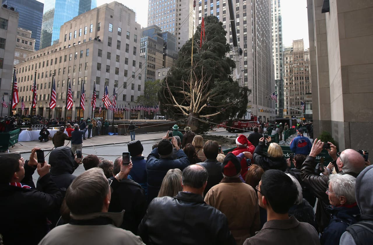 Comienza la temporada festiva: el árbol de Navidad del Rockefeller Center llega a la icónica plaza