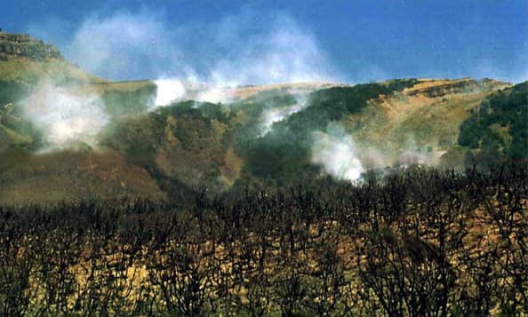  Zona fronteriza de Texas pudiera registrar incendios forestales 