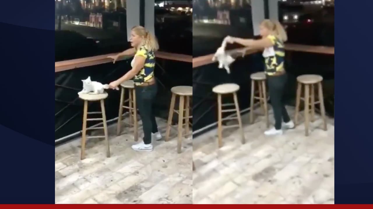 Detienen a mujer que maltrató a un gato en Bayamón