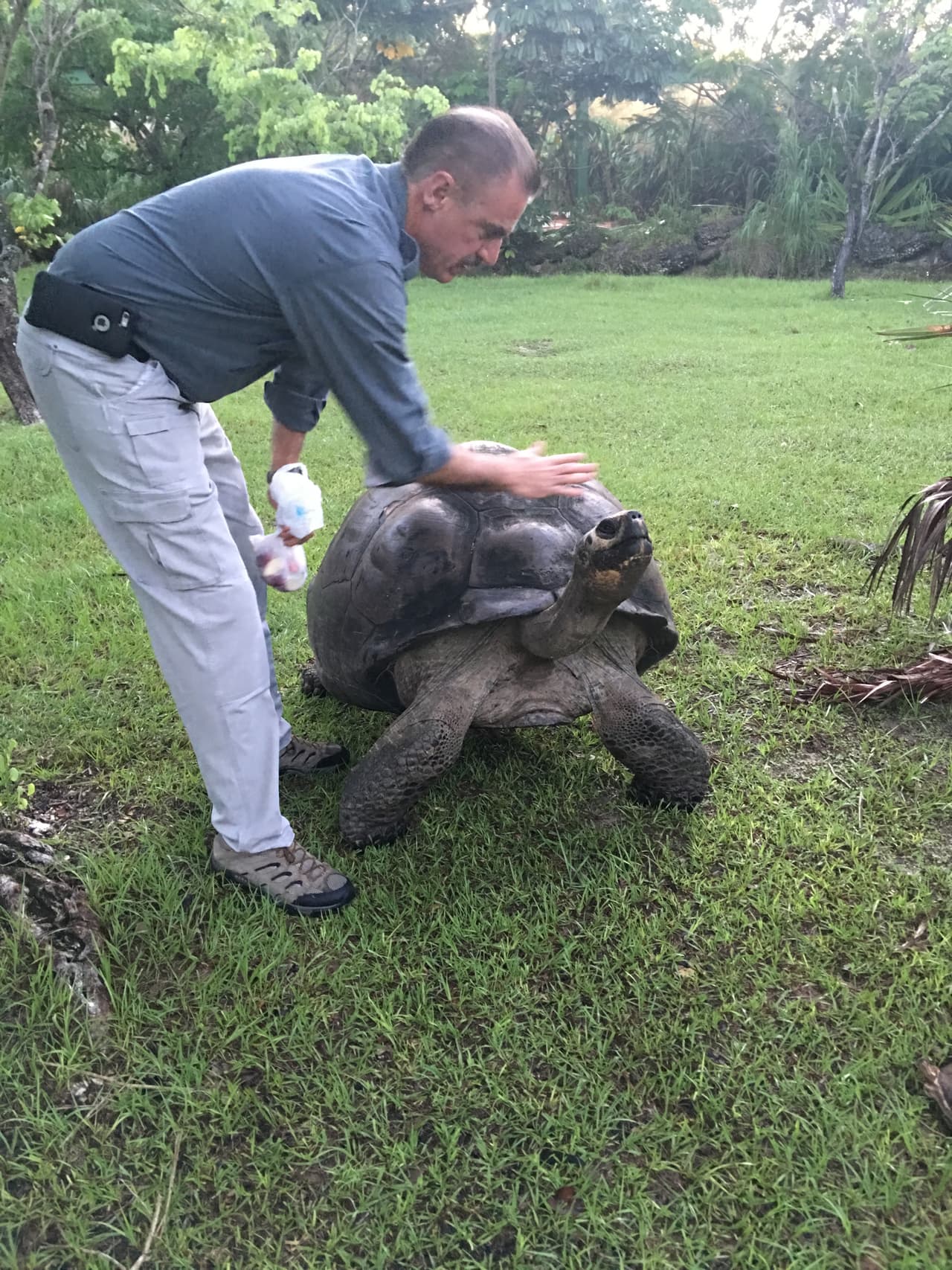 Las tortugas son otro de los grandes atractivos del zoológico.