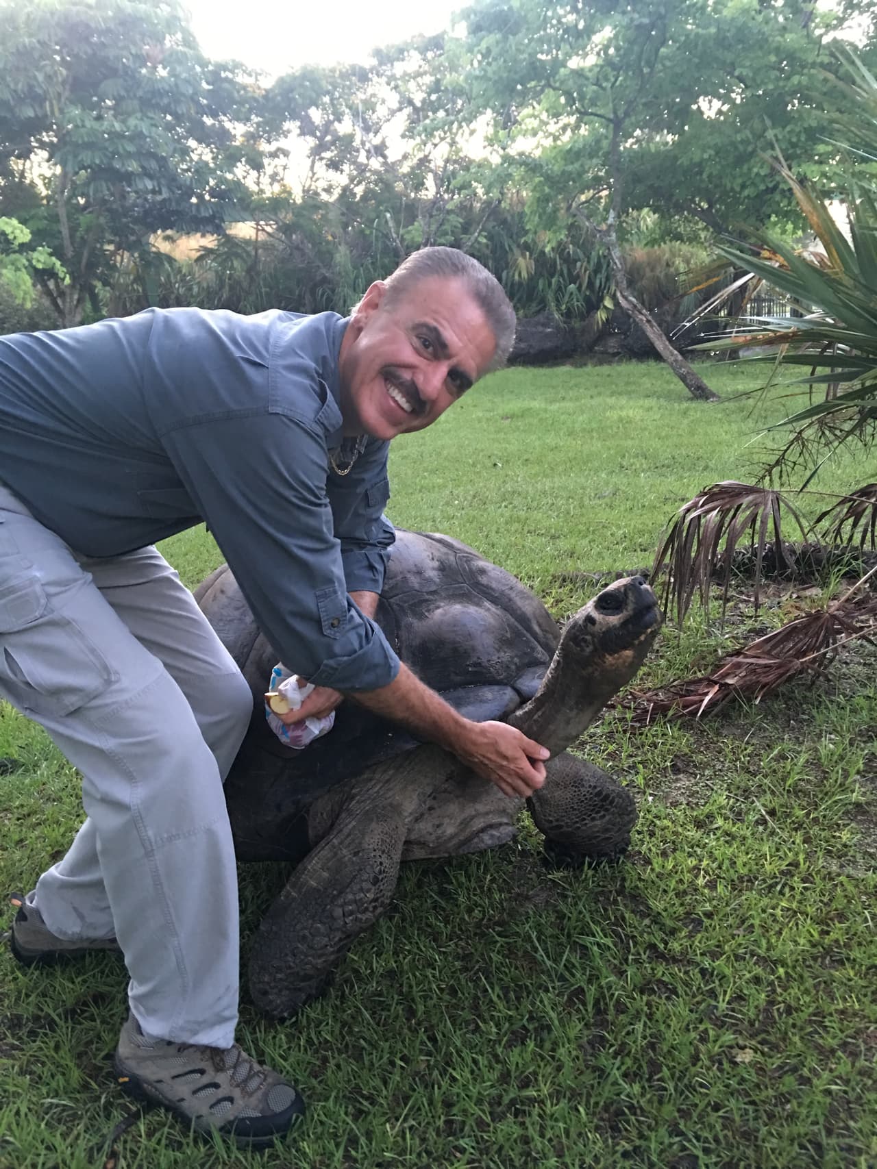 Aquí nos luce su fuerte cuello y su hermoso caparazón.