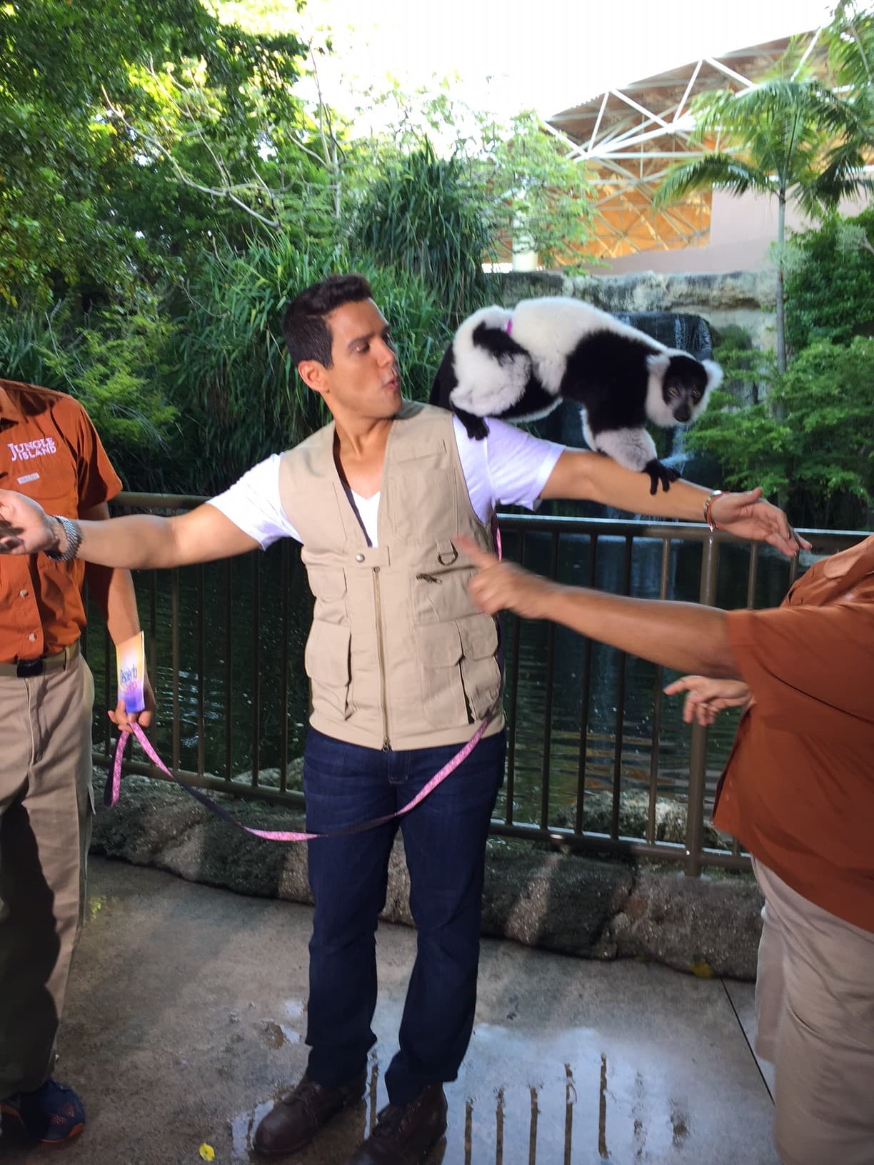 Alejandro Chabán se vistió de aventurero y nos llevó a conocer el parque zoológico de Jungle Island ¿Les gusta este bello Lemur?