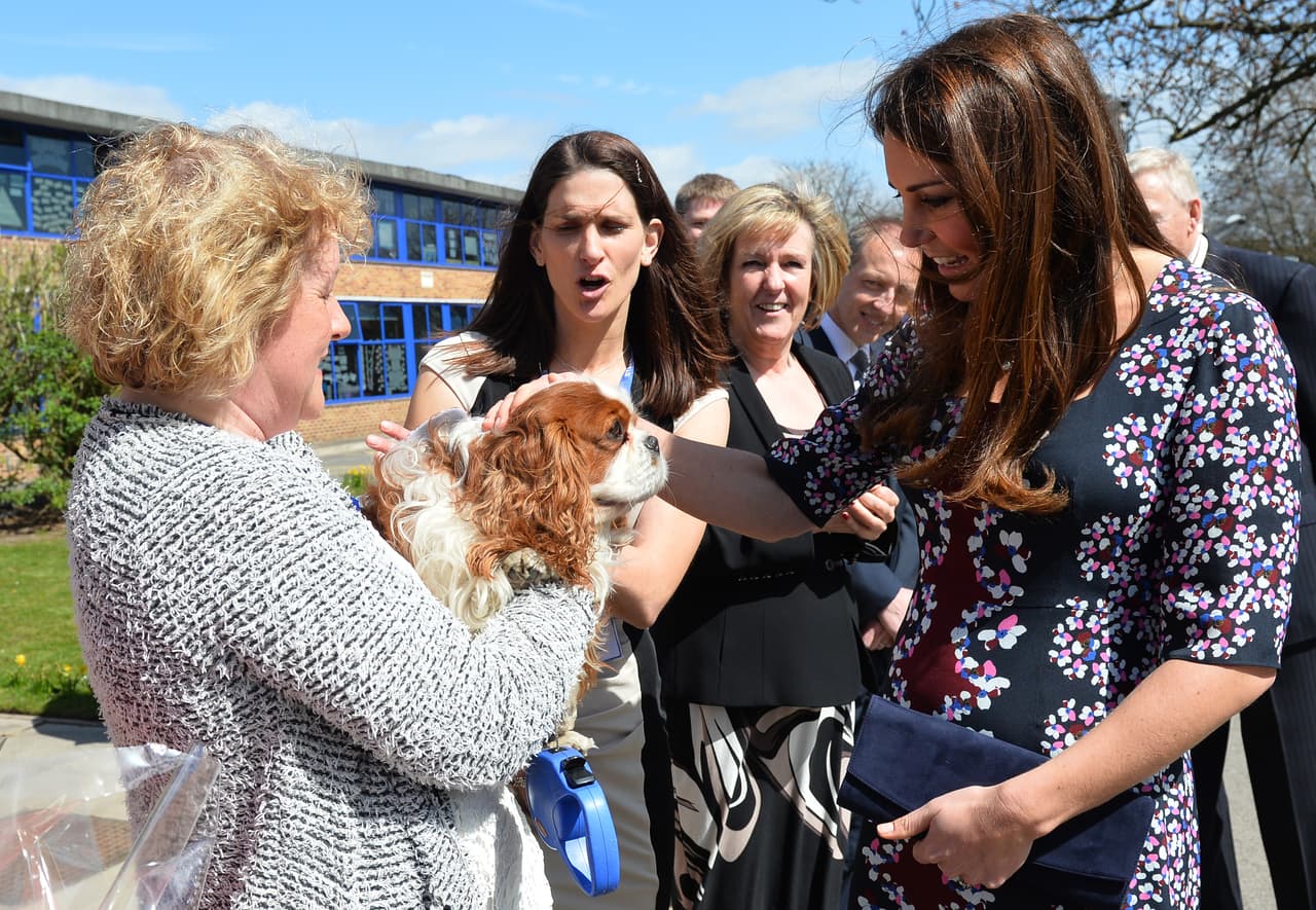 Su debilidad también son los perros, como Henry, la mascota de The Willows Primary School en Wythenshawe, Manchester, que acarició en abril de 2013. 
<br>