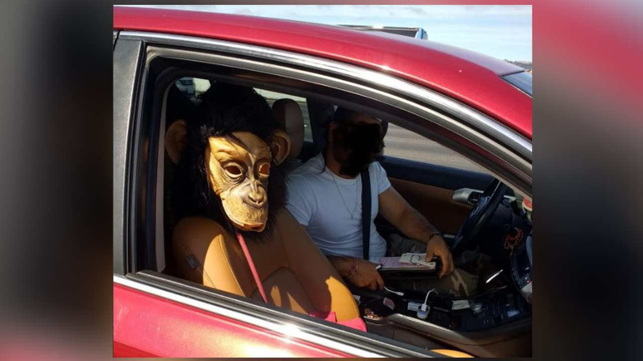 Este conductor de California usó la máscara de un chango para poder conducir en el carril de 'carpool'