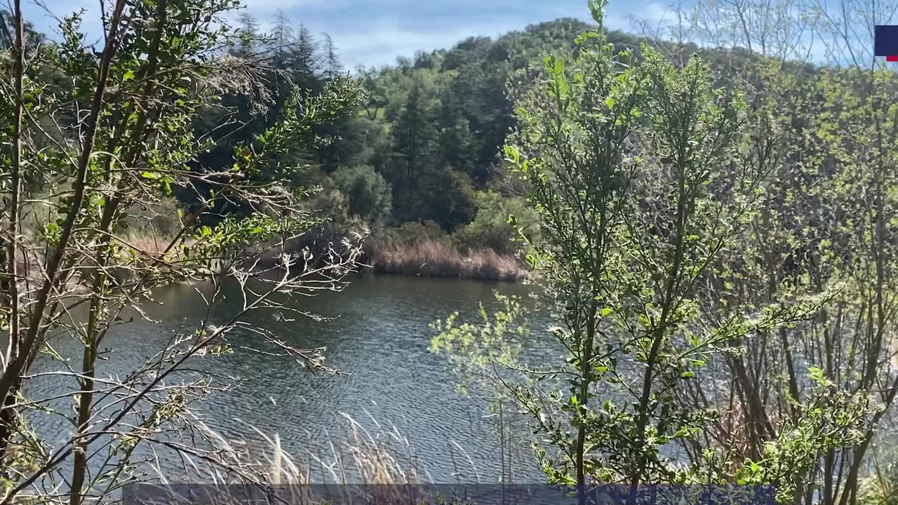 El Franklyn Canyo Park será tu destino favorito y está más cerca de lo que imaginas. Desde los más pequeños y hasta los más grandes de la casa, encontrarán algo con que disfrutar en este oasis en la ciudad. Laguna, estanque, senderos y áreas de meriendas te esperan a ti, tu familia y amigos.