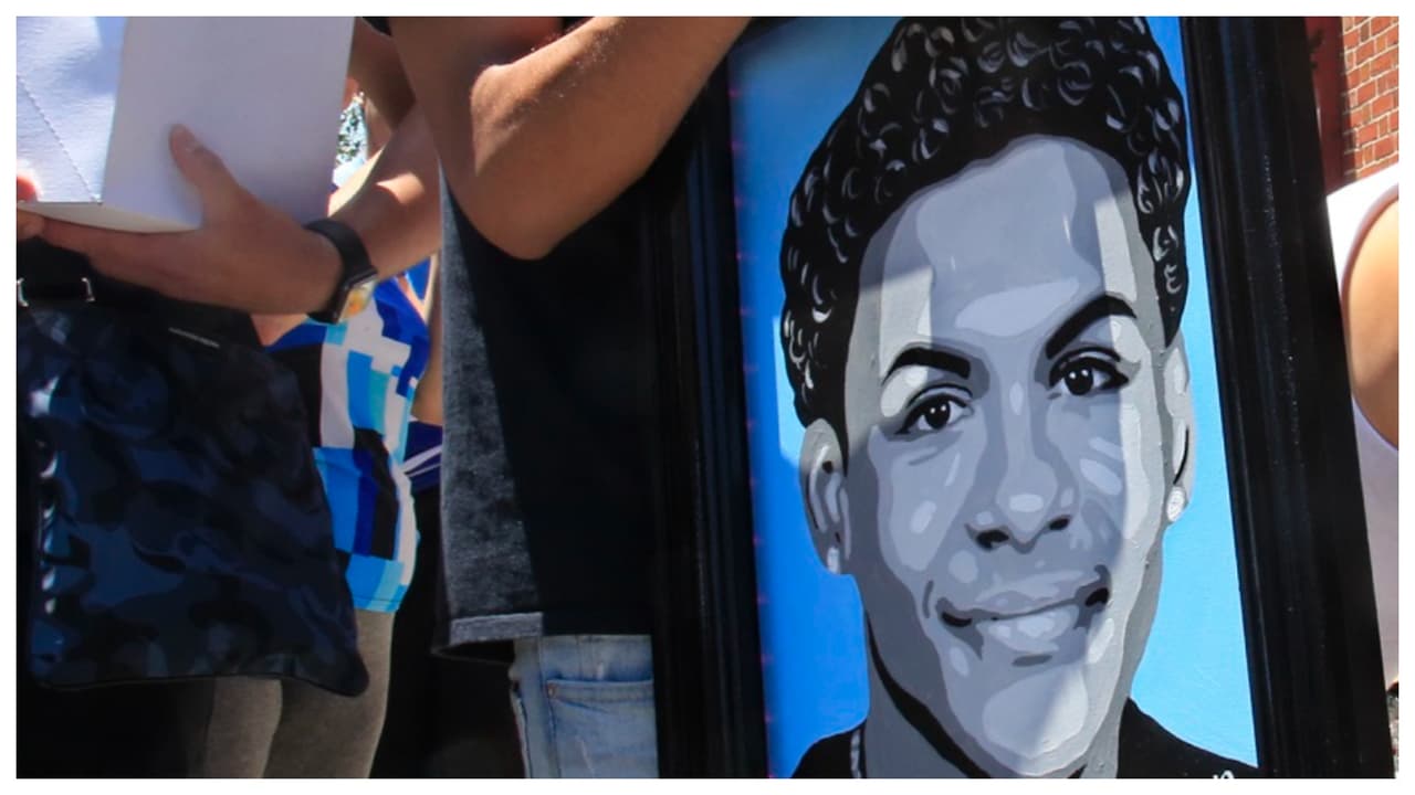 El dolor de Lesandra Feliz, dice, no tiene consuelo. “Ellos ni con su vida pagan el abuso que hicieron, 
<a href="https://www.univision.com/local/nueva-york-wxtv/esto-es-lo-que-se-sabe-de-los-asesinos-de-lesandro-junior-guzman" target="_blank">esos 15 hombres abusadores,</a> busando inocentes en la calle, 
<b>mi hijo era un niño inocente, no fue un delincuente, no fue tigre que mataron como ellos</b>, ellos son gangueros, ellos son criminales, ¿Por qué es que los apoyan tanto a los criminales?".