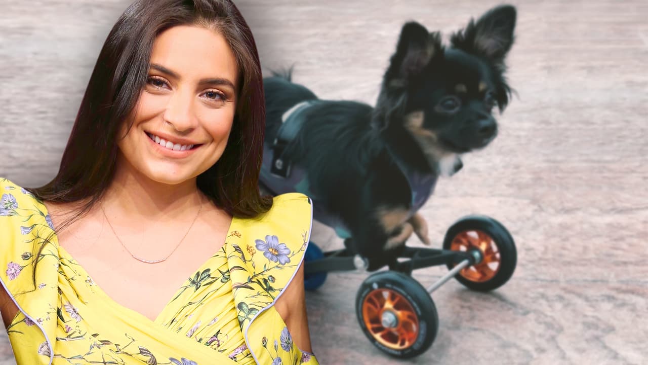 “Me explota el corazón”: Ana Brenda está feliz de que su bebé Tomasa ya tiene rueditas y puede caminar