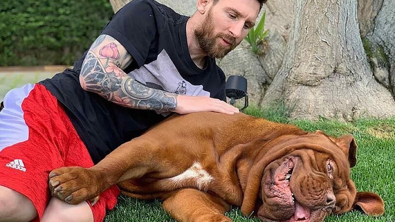 Messi, Cristiano y hasta Neymar comparten un amor en común… el perro 