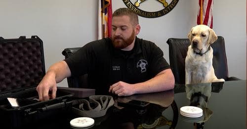 Conoce a Mac, el oficial K9 del condado de Cabarrus que puede detectar dispositivos electrónicos