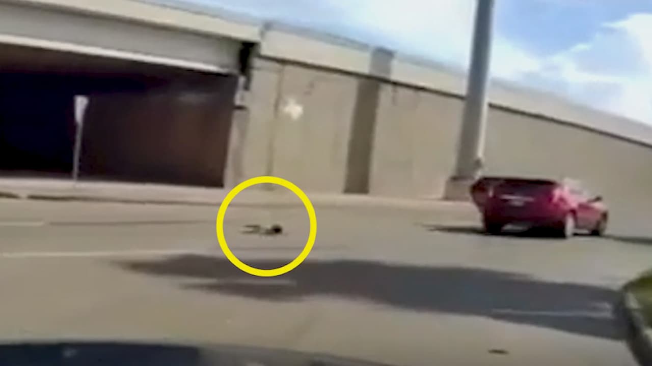 Enfrenta cargos la tía del bebé que cayó de un automóvil en carretera de Houston