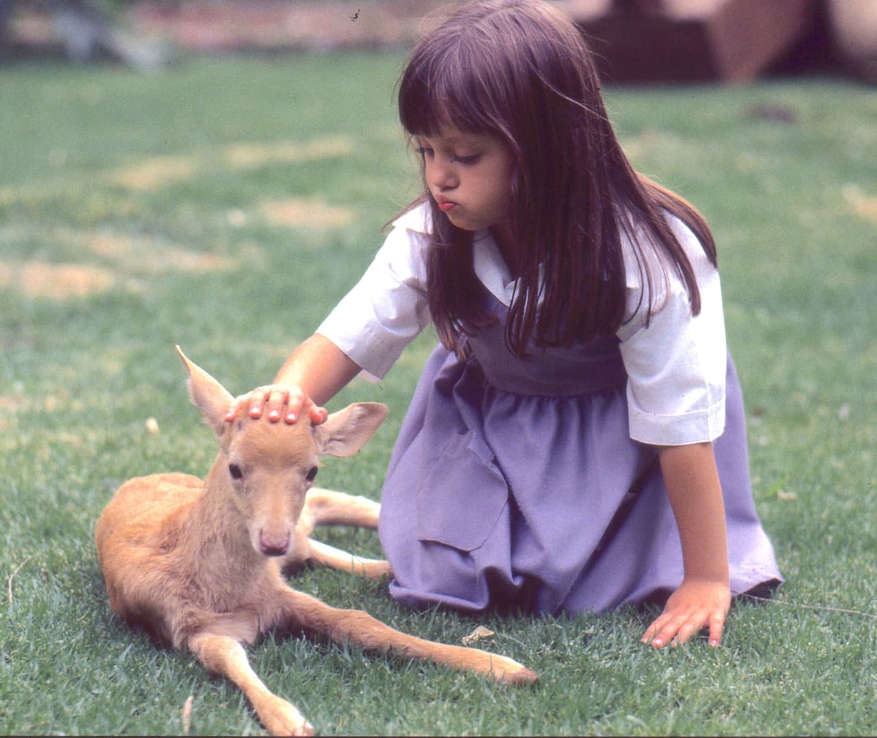 Tras interpretar a la tierna Isabel en la telenovela, donde compartió créditos con Laura Flores y Alejandro Ibarra, Andrea continuó su camino como actriz infantil y apareció en programas como ‘Cuento de Navidad’, ‘Carita de ángel’, ‘Mi destino eres tú’ y ‘Vivan los niños’.