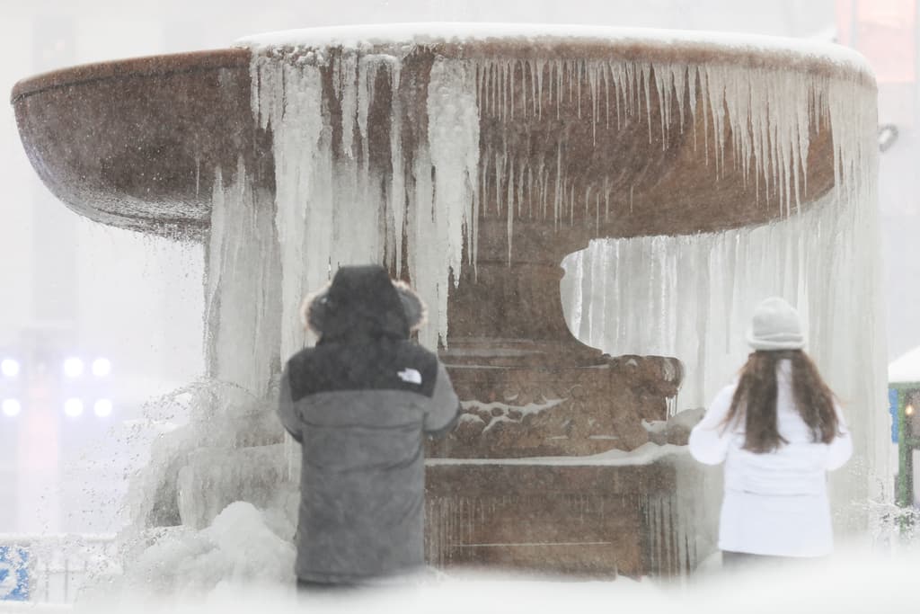 Lo bueno para algunos, fue que pudieron tomar la foto de 
<b>la fuente congelada del Bryant Park,</b> en Manhattan. 
<b><a href="https://www.univision.com/local/nueva-york-wxtv/fuente-de-bryant-park-amanece-congelada-fotos" target="_blank">Lo mismo pasó en 2016, aquí las fotos</a></b>.