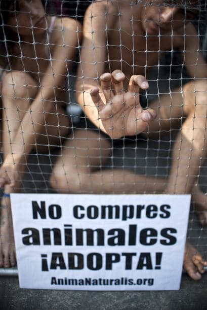 Los niños que reciben este obsequio no están completamente informados de lo que implica la crianza, el desarrollo, las necesidades básicas y afectivas de los animales que adquieren.