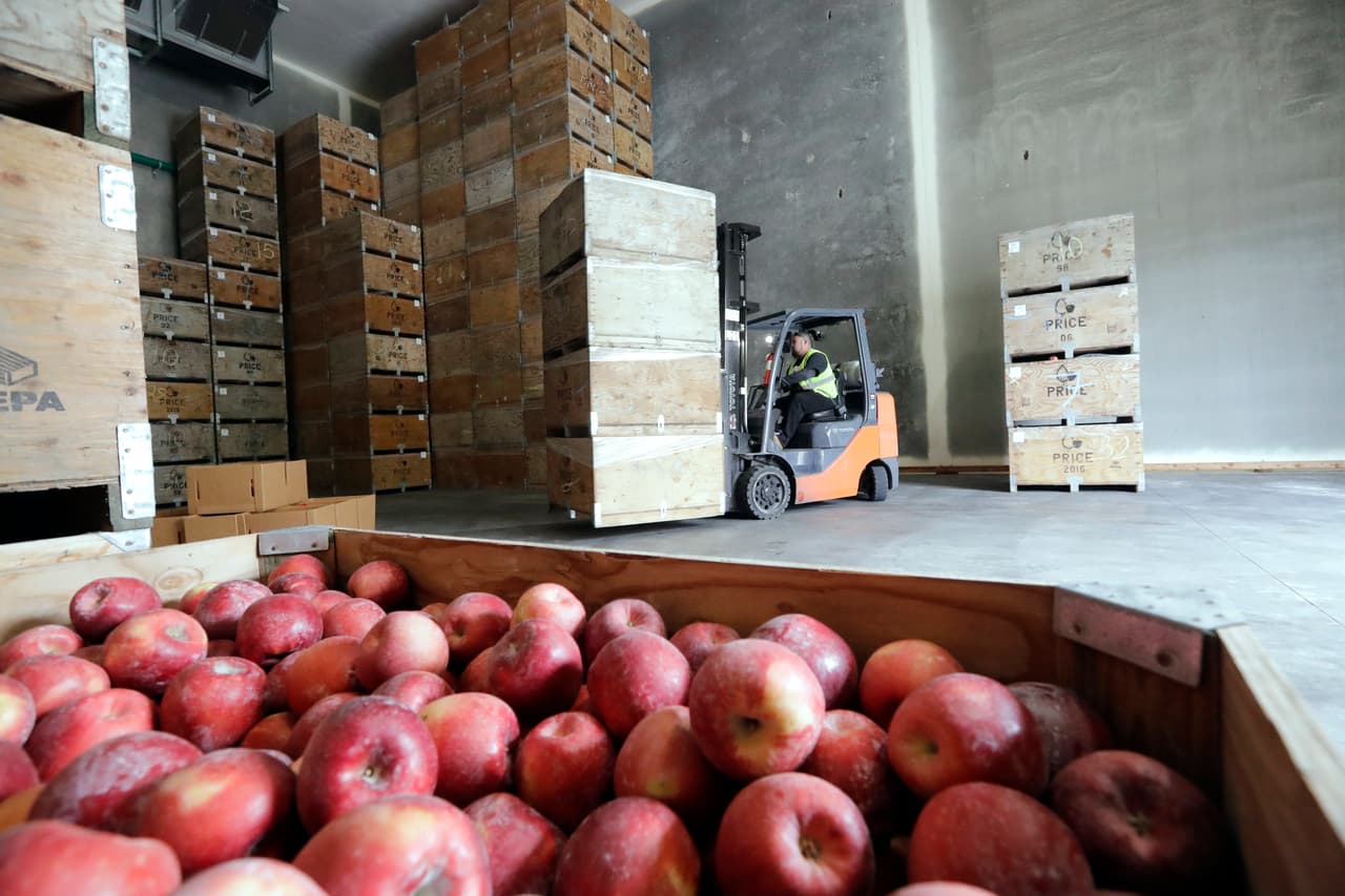El estado tiene alrededor de 1,500 productores de manzanas y 175,000 acres de ese cultivo. Alrededor de 50,000 personas recogen a mano unos 12,000 millones de manzanas cada otoño. La fruta se exporta a 60 países. "Este será el lanzamiento más grande de una única variedad a nivel mundial y está respaldado por un presupuesto de marketing de 10.5 millones de dólares", dijo Kathryn Grandy, miembro del equipo que comercializa la manzana. "Los consumidores no tendrán problemas para encontrarla", añadió Grandy, y explicó que la fruta llegará a los mercados del país a partir del 1ro de diciembre.