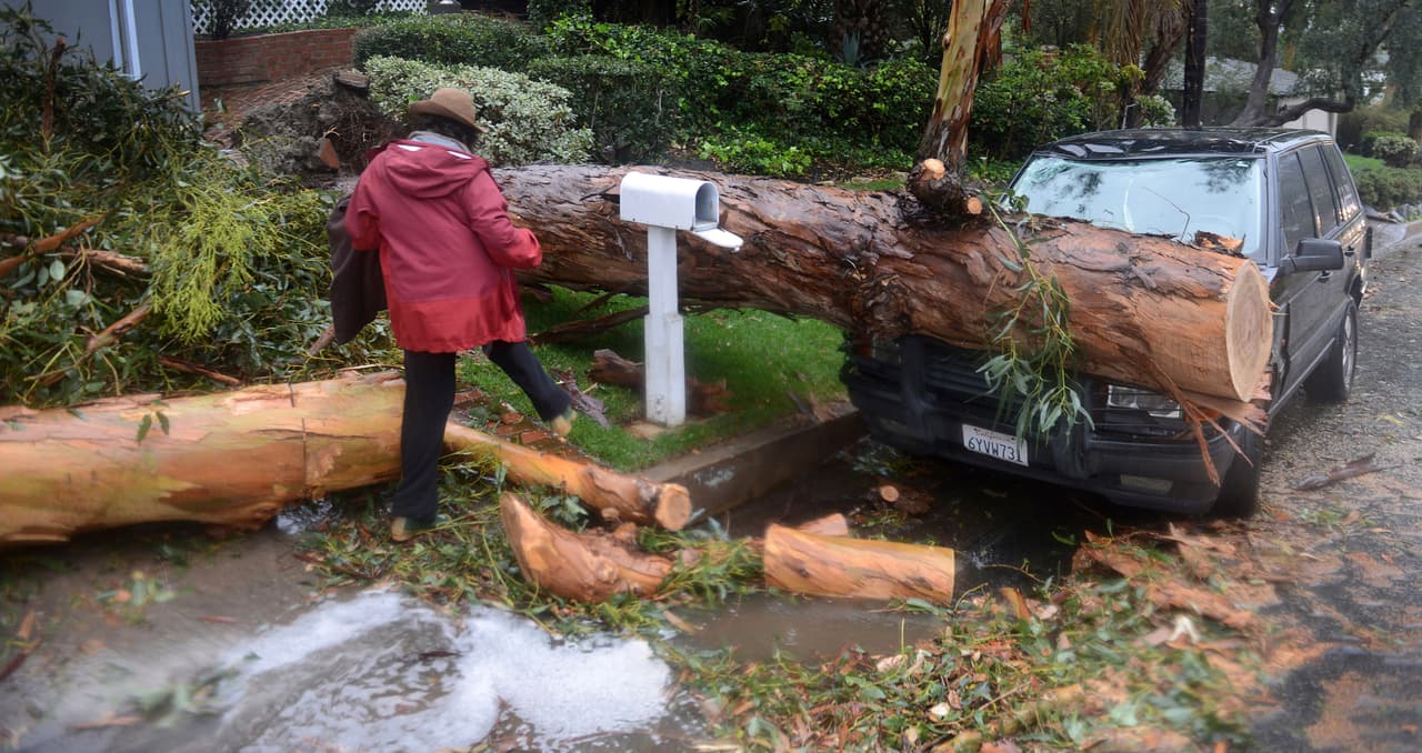 Un enorme árbol colapsó sobre un coche en la ciudad de Laguna Beach, en el sur de California.