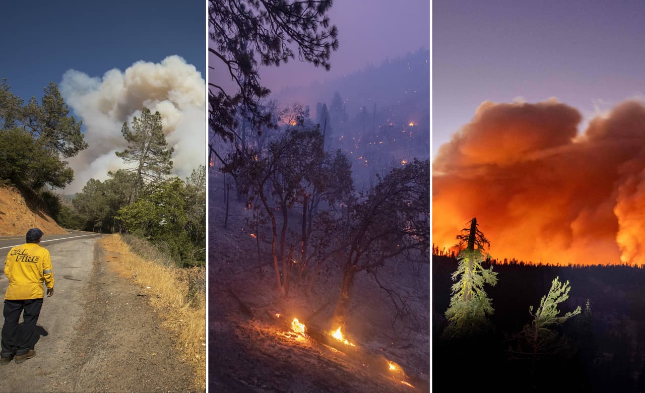 El 
<a href="https://www.fs.usda.gov/detail/r5/news-events/?cid=FSEPRD949139" target="_blank">Servicio Forestal de Estados Unidos</a> informó que 
<b>todos los Bosques Nacionales de California estarán cerrados temporalmente debido a los intensos incendios</b> que azotan al estado Dorado.