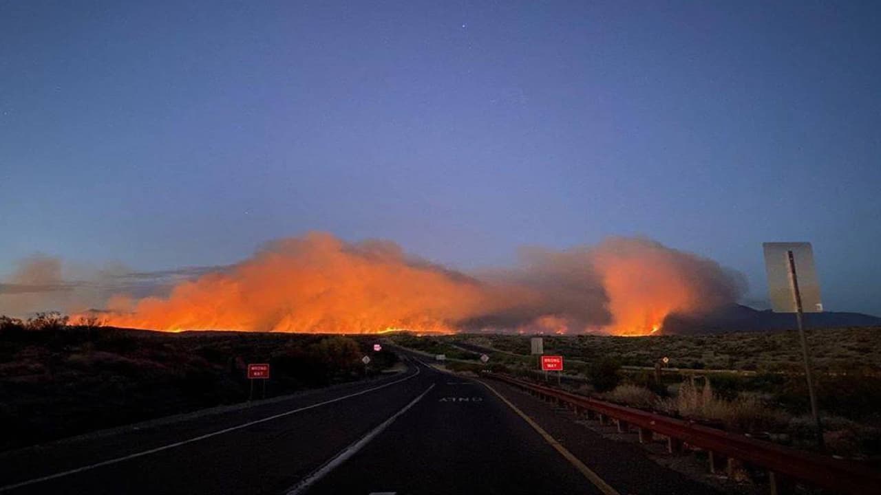 <a href="https://inciweb.nwcg.gov/incident/6773/" target="_blank">El incendio Bush ha quemado 114,941 acres </a>de terreno. Las llamas iniciaron la tarde del domingo, junio 13. 
<br>