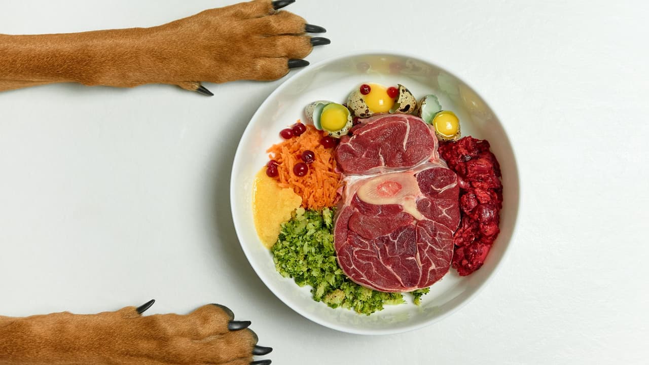 <h2 class="cms-H2-H2">Alimentos para mascotas sin hoja con filtros zoosanitarios</h2>
<br>La comida para perros o gatos que contengan "carne de bovino, ovino y caprino" no podrá ingresar si no tiene una hoja con filtros zoosanitarios desde el país de origen.