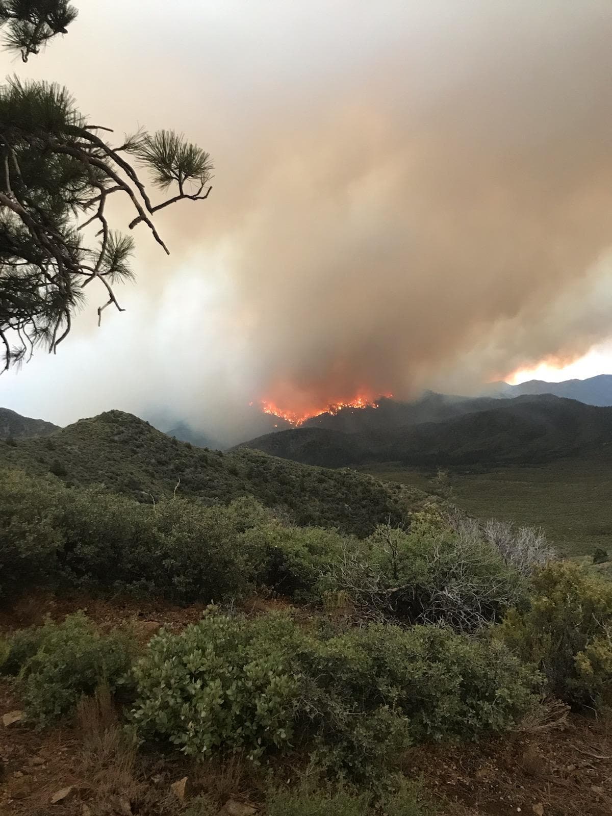 Autoridades indican que el incendio comenzó la tarde del 16 de agosto como resultado de un rayo de las tormentas eléctricas que azotaron a región al sur del estado. 
<br>