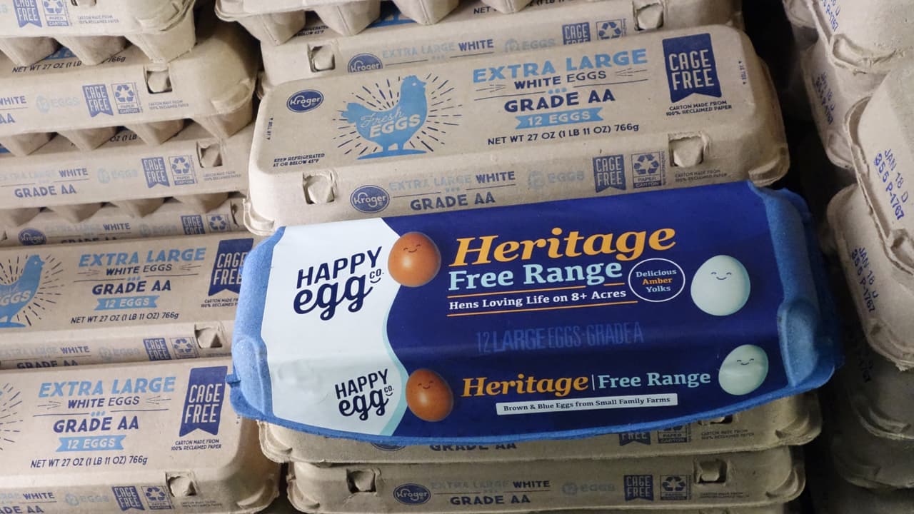 Reportan aumento del precio de los huevos en Chicago: ¿A qué se debe? Le contamos