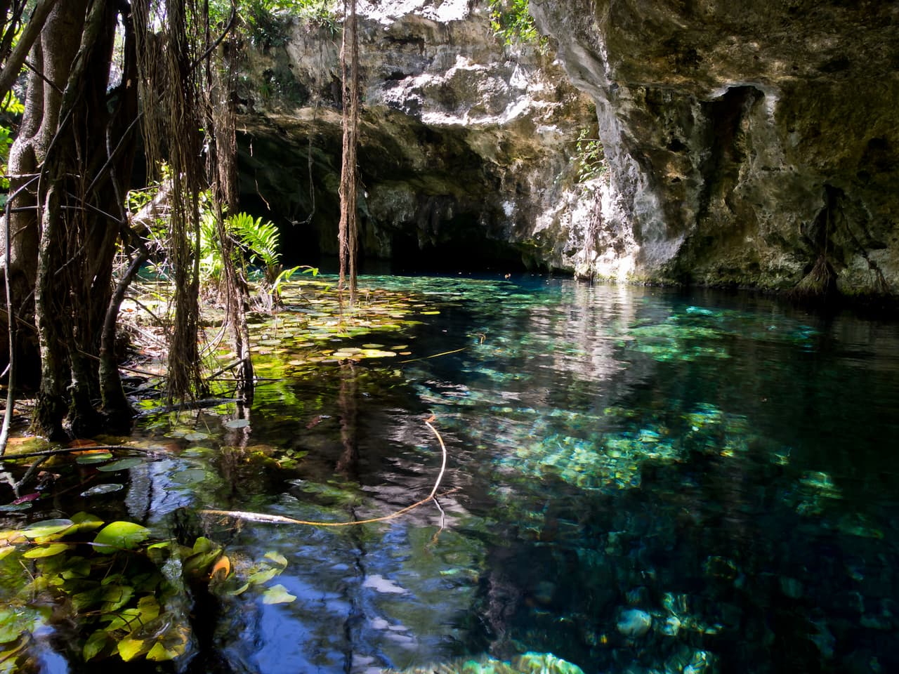 A sólo 5 km de Tulum, el Gran Cenote es el preferido de los amantes del buceo –en su fondo se pueden ver nadar algunas especies de bagres–. Además, cuenta con una zona de baja profundidad, ideal para que los niños se den un baño.