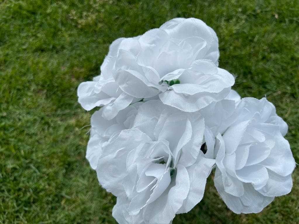 Apenas el fin de semana pasado se registraron 10 tiroteos masivos en el país, con 17 muertos y más de 60 heridos.