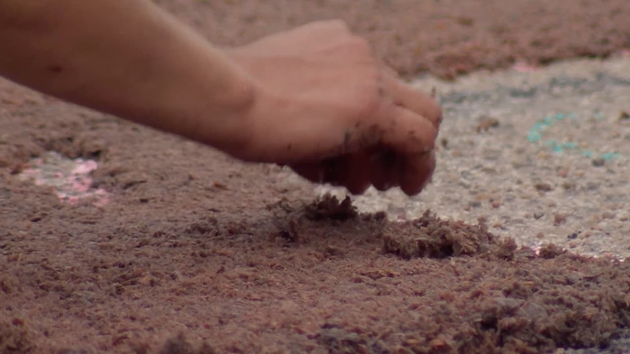 Toda la gente que participa son voluntarios, familias y algunos representan a grupos comunitarios.