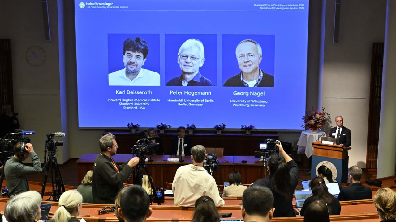 Científicos ganan el Premio Nobel de Medicina por estudiar el funcionamiento del cerebro