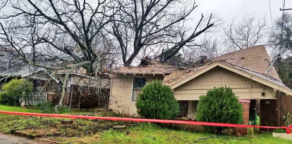 Un arbol cayó encima de una vivienda en Dallas.