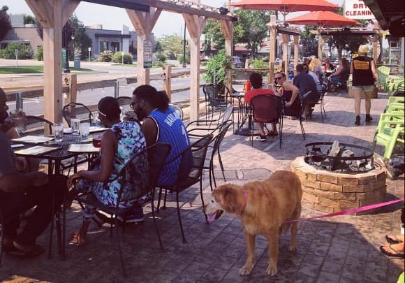 ¿Quieres llevar a tu perro a comer contigo? Estos restaurantes cuentan con patio para perros en Salt Lake City