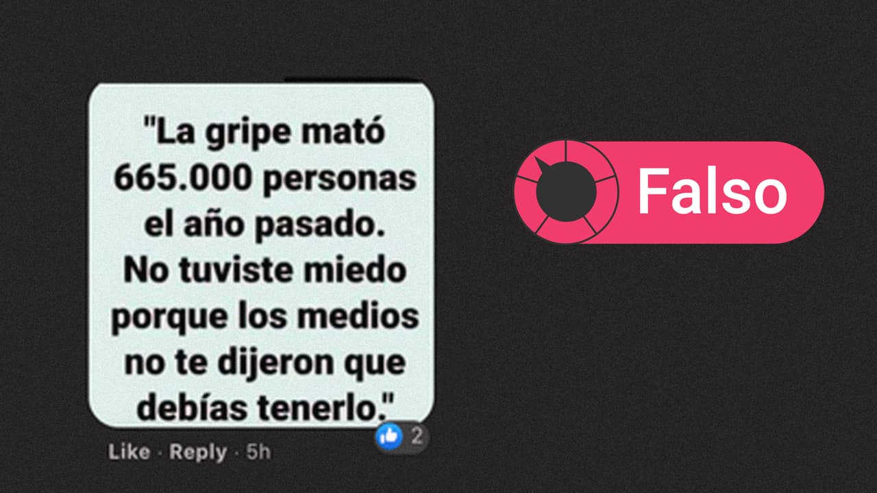No se equiparan las cifras de fallecidos por gripe con las de covid-19
